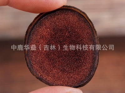 鹿茸片红粉片 长龙鹿业 厂家批发 一件代发 东北特产 泡酒煲汤料图2
