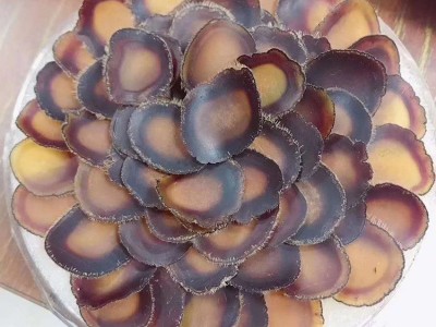 鹿茸片全蜡片含血足营养丰富 吉林长春鹿茸泡水煲汤泡酒1克图2
