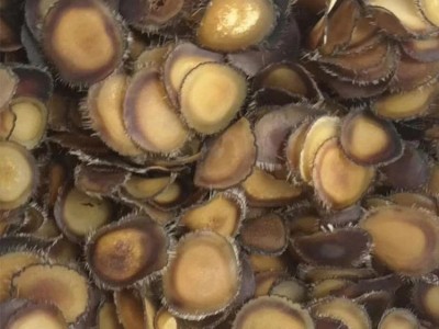鹿茸片全蜡片含血足营养丰富 吉林长春鹿茸泡水煲汤泡酒1克图4