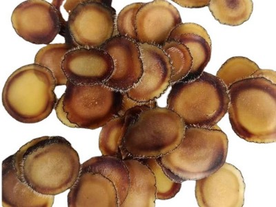 鹿茸片全蜡片含血足营养丰富 吉林长春鹿茸泡水煲汤泡酒1克图5