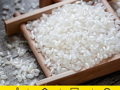东北大米5kg珍珠米圆粒米粳米厂家批发活动礼品10斤特产代 发包邮图4
