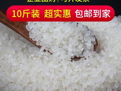 东北大米5kg珍珠米圆粒米粳米厂家批发活动礼品10斤特产代 发包邮图3