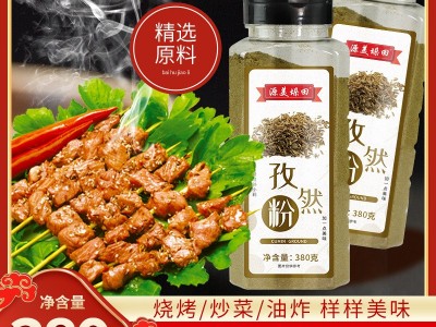孜然粉调味孜然粉批发牛羊肉调味烧烤火锅底料孜然粉商用图5