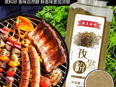 孜然粉调味孜然粉批发牛羊肉调味烧烤火锅底料孜然粉商用图3