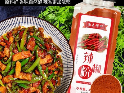 供应辣椒粉香辣火锅串串四川干碟蘸料烧烤调料辣椒面油泼辣子调料图4