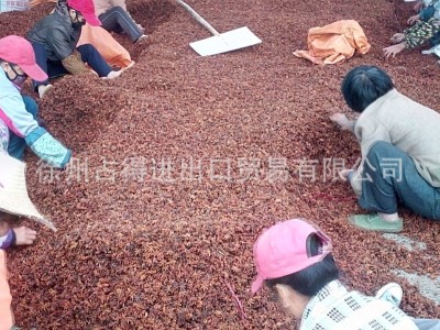 八角、大茴，大料,香料,调味品图4