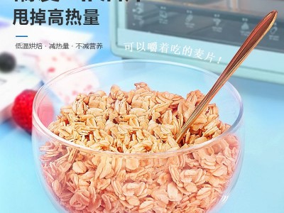 酸奶果粒麦片早餐即食代餐干吃健身水果燕麦片坚果速食零食批发图3