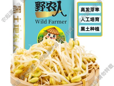 农家土黄豆豆浆专用自种大豆传统种植小黄豆厂家直发支持代发2斤图2