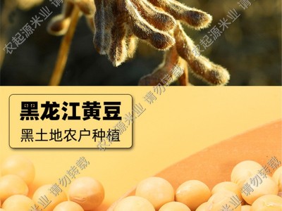 农家土黄豆豆浆专用自种大豆传统种植小黄豆厂家直发支持代发2斤图3