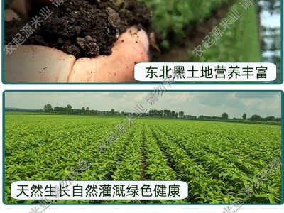 农家土黄豆豆浆专用自种大豆传统种植小黄豆厂家直发支持代发2斤图4