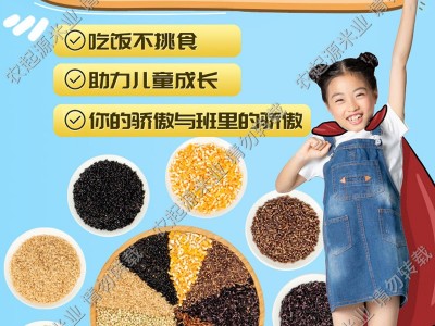当季新米东北九色糙米粗粮餐低脂批发厂家直发代发谷物粗粮饭5斤图4