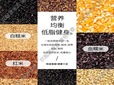 当季新米东北九色糙米粗粮餐低脂批发厂家直发代发谷物粗粮饭5斤图3