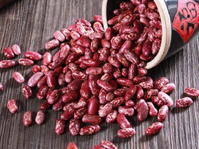 农家自产紫芸豆批发当季大粒紫芸豆菜豆腰豆四季豆五谷杂粮豆子图2