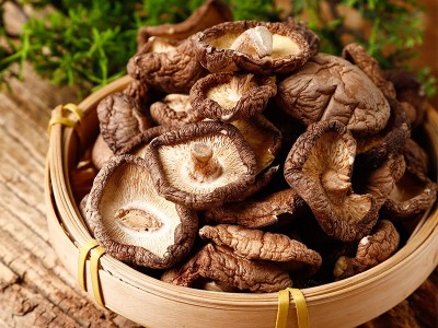 干香菇肉厚东北蘑菇干货小鸡炖蘑菇肉厚农家金钱菇食用菌批发图2