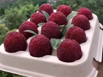 浙江仙居东魁杨梅鲜果新鲜水果现摘现发当季孕妇水果大杨梅3斤6斤图3