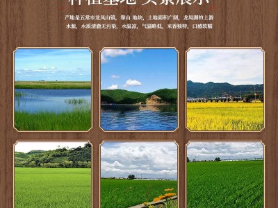 2022黑龙江新米东北五常大米稻花香2号大米5kg10斤稻花香大米批发图4