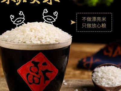 东北大米厂家批发粳米2022新米盘锦蟹田大米25kg采购稻田米50斤装图3