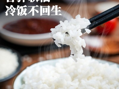 东北盘锦蟹田大米22年新米大米批发珍珠圆米5kg袋装支持团购代发图4