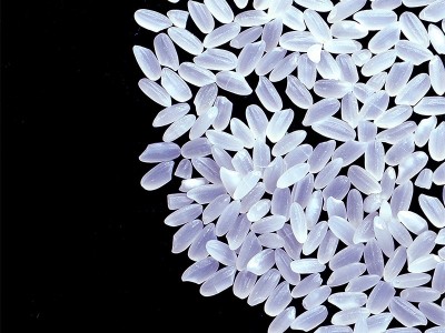 东北酵素五常大米5kg真空新米正宗稻花香2号米饭黑龙江省粳米产区图4
