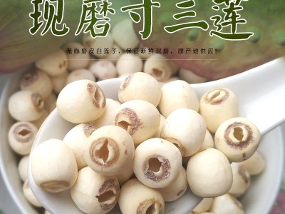 大颗湘潭莲子干货500g无芯莲子米去芯磨皮白莲子去心湘莲湖南产地图4