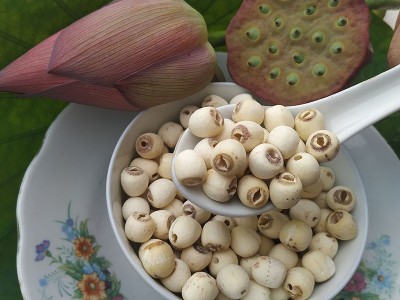 大颗湘潭莲子干货500g无芯莲子米去芯磨皮白莲子去心湘莲湖南产地图2