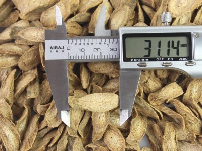 源头厂家批发高品质黄金牛蒡茶斜片山东特产牛蒡根食品图3