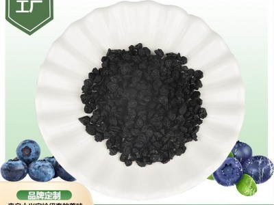 伊春小兴安岭九鑫蓝莓种植基地种植蓝莓干 源头工厂 批发 零售图3