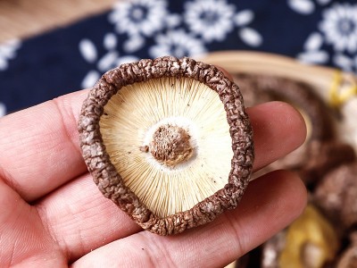【一件代发】厂家批发食用菌香菇干货批发500g东北散货香菇干量大图4