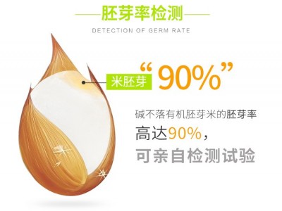 【碱不落】单氏米业有机胚芽米5kg公司福利礼品厂家批发东北大米图3