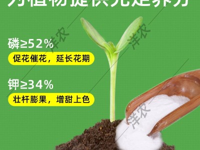 磷酸二氢钾 云天化磷酸二氢钾肥批发 高钾水溶肥 蔬菜叶面肥图2