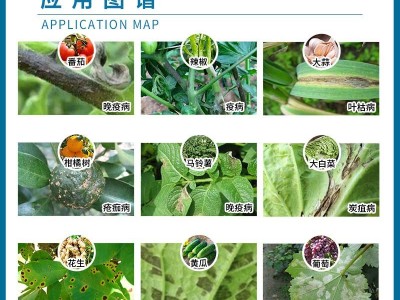 德国巴斯夫百泰吡唑醚菌酯·代森联霜霉病炭疽病叶斑病农药杀菌剂图5