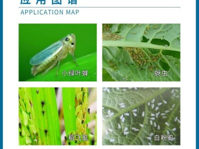 拜耳 艾美乐70%吡虫啉蚜虫腻虫飞虱茶小绿叶蝉蝼蛄蛴螬杀虫剂农药图5