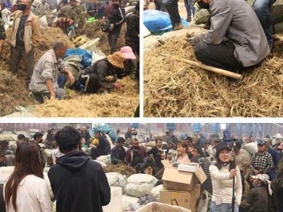 人参须长白山野山参须根白参须泡水茶酒煲汤散装人参须子东北特产图3