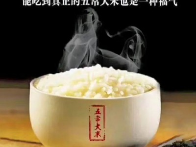 五常大米 东北 厂家批发 源头货源图4