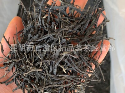 明前头春大树茶 澜沧特级紫鹃紫茶普洱茶 散生茶 散茶批发图5