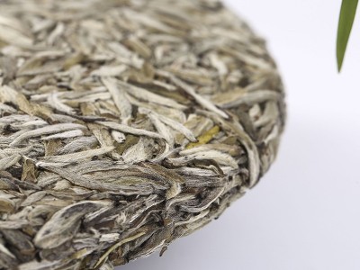 福建高山白茶 白毫银针饼300g日晒老白茶 茶叶现货批发厂家供应图4