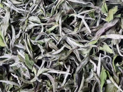 2022年新茶春茶高山白牡丹福建白茶散茶500g装厂家直销一件代发图5