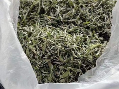 2022年新茶春茶高山白牡丹福建白茶散茶500g装厂家直销一件代发图4