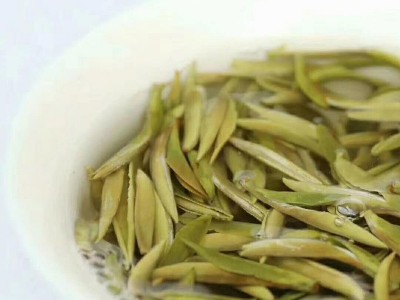 白茶白牡丹散装500g 花香蜜韵高山日晒白茶 福建源头厂家茶叶批发图3