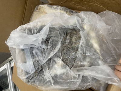 冷冻国产鲜毛肚 原装鲜毛肚 火锅鲜毛肚牛百叶千层肚 原装无碱图4