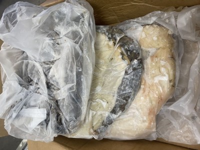 冷冻国产鲜毛肚 原装鲜毛肚 火锅鲜毛肚牛百叶千层肚 原装无碱图2