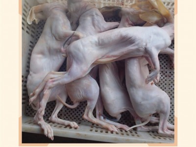 兔肉 兔子肉带皮兔肉 烫皮兔肉图4