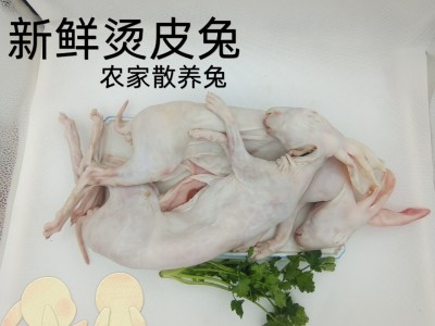 兔肉 兔子肉带皮兔肉 烫皮兔肉图2