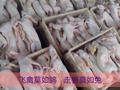 兔肉 兔子肉带皮兔肉 烫皮兔肉图5