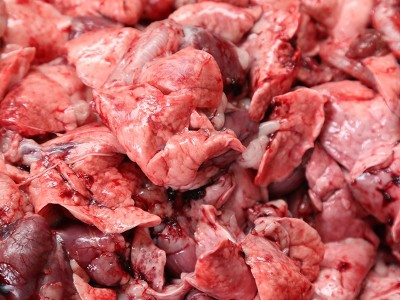 酉力食品供应批发兔肉 新鲜美味兔肺 量大优惠欢迎选购 兔肺图4
