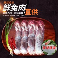 新鲜兔肉生兔肉 冷冻白条兔 去皮去头去内脏兔肉 三斤左右