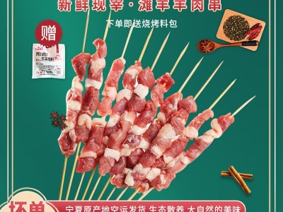 羊肉串新鲜 宁夏盐池滩羊肉串 生鲜羊肉串 烧烤食材 滩羊肉串批发图2