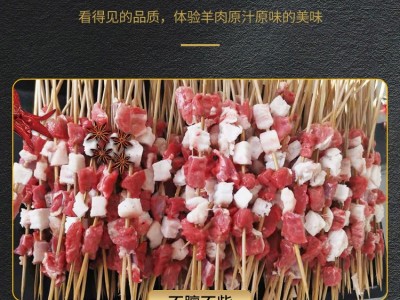 羊肉串新鲜 宁夏盐池滩羊肉串 生鲜羊肉串 烧烤食材 滩羊肉串批发图5