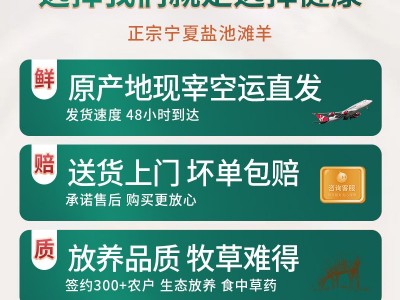 羊肉新鲜 宁夏滩羊 羊肉串 烧烤食材 生鲜肉宁夏羊肉串批发 500克图3