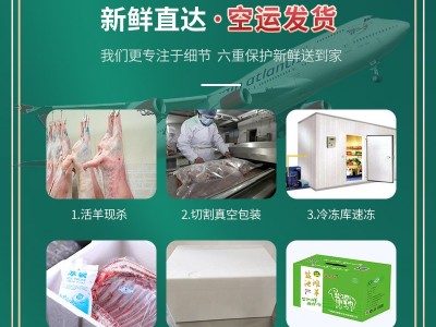 羊肉新鲜 宁夏滩羊 羊肉串 烧烤食材 生鲜肉宁夏羊肉串批发 500克图4